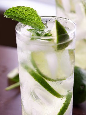 Tek mojito portre