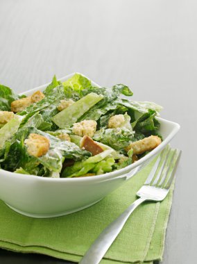 Caesar salad with coypspace clipart