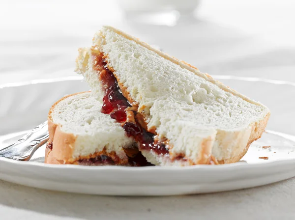 Peanut butter and jelly sandwhich — Stock Photo, Image