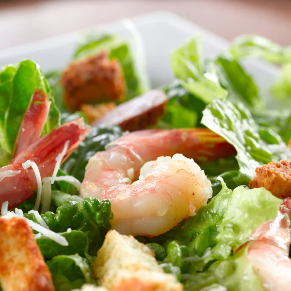 Karides ıspanak salatası — Stok fotoğraf