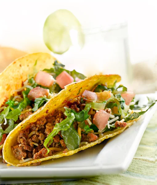 Vértes taco étkezés — Stock Fotó