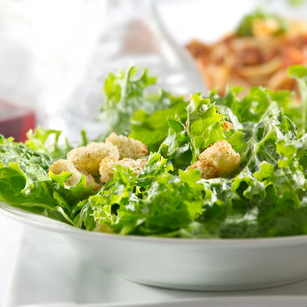 Листяно-зелений салат з грінками — стокове фото