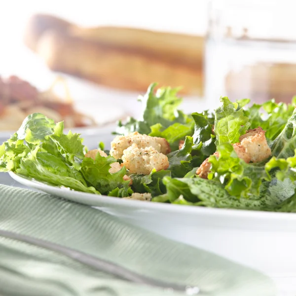 Salada verde folhosa com croutons — Fotografia de Stock
