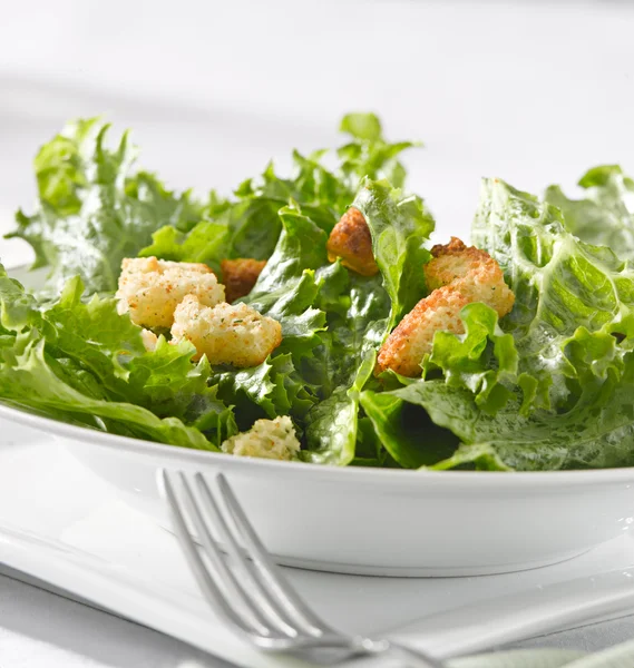 Зеленый салат с гренками — стоковое фото
