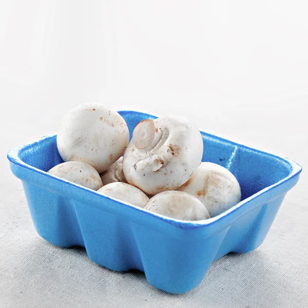 stock image Mushrooms in a container