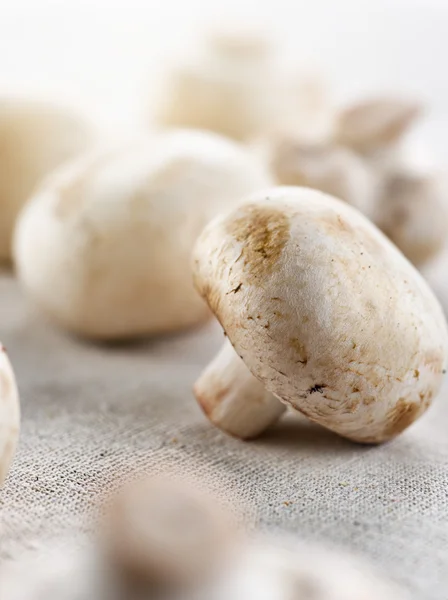 Uncooked mushrooms closeup — Stock Photo, Image