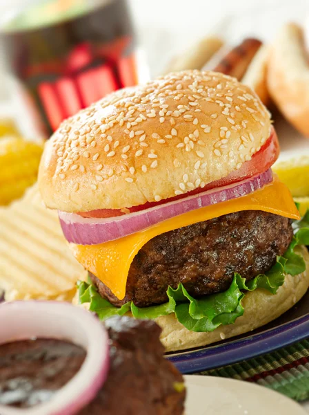 Hamburger Mahlzeit — Stockfoto