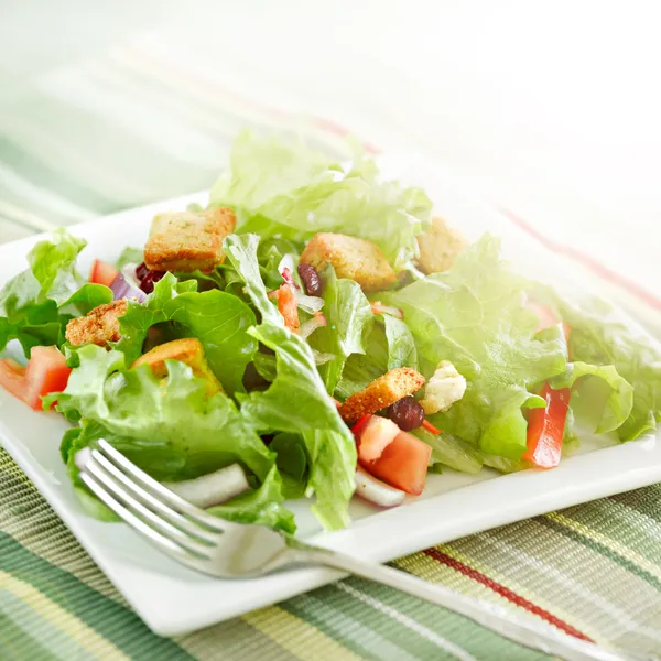 Salada com luz solar radiante — Fotografia de Stock