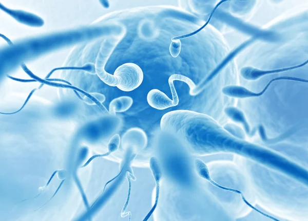 Sperma närmar sig — Stockfoto