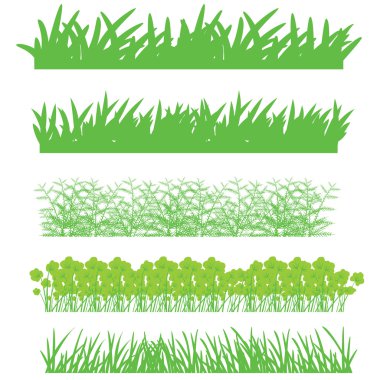 The green grass, shrubs