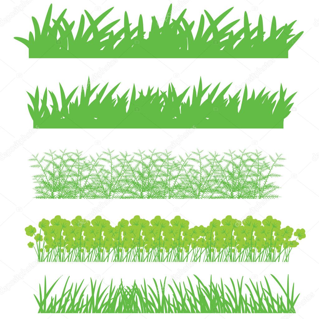 The green grass, shrubs