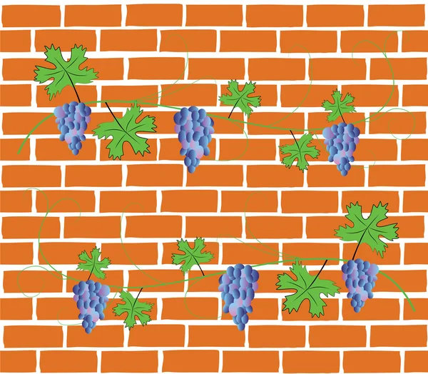 Brick wall, grapes — Stockvector