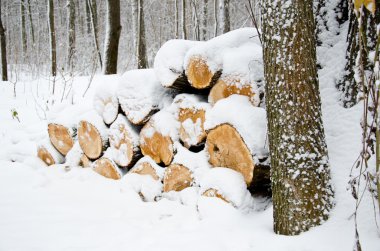Sawn wood winter clipart