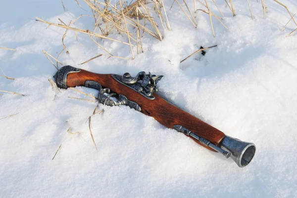 stock image The layout of the old gun in the snow