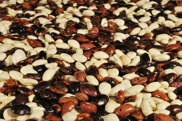 O pano de fundo das sementes de feijão Imagem De Stock