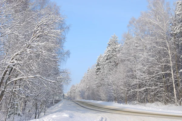 stock image Winter road