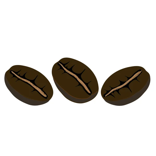 Coffe beans — Stock Vector