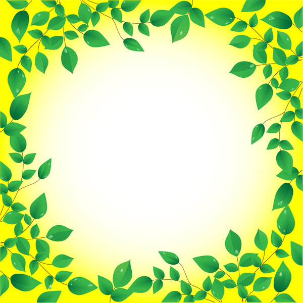 Fresh green leaves and sun shine, frame