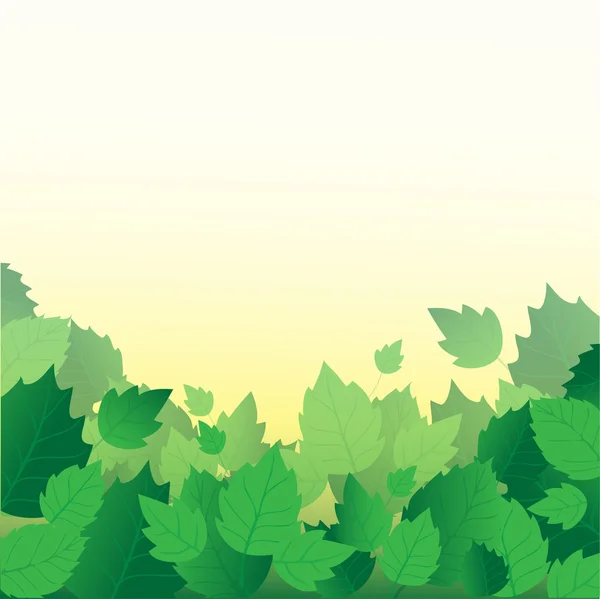 Friss zöld levelek, és süt a nap, keret — Stock Fotó