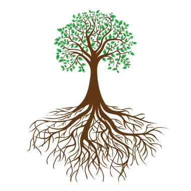 Tree with roots and dense foliage, vector clipart