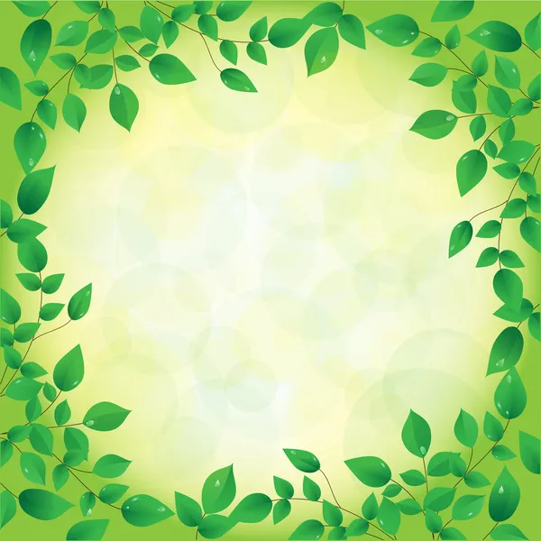 Hojas verdes frescas y sol brillan, marco — Archivo Imágenes Vectoriales