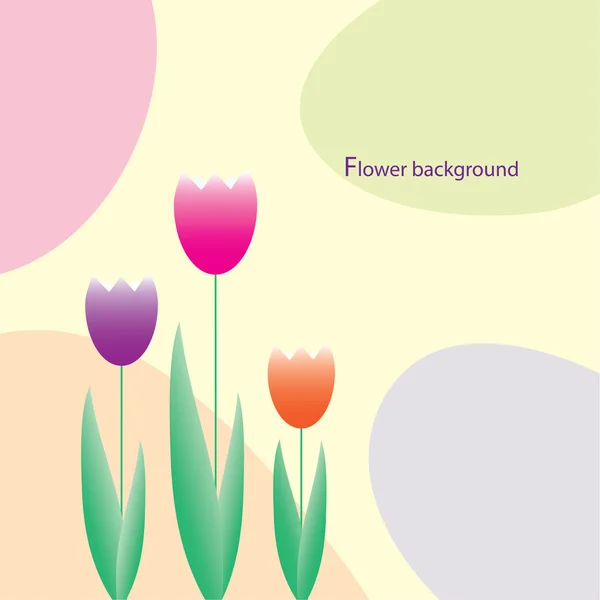 Kleur tulpen. vectorillustratie — Stockvector