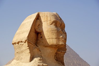 yakın çekim büyük Sfenks Giza