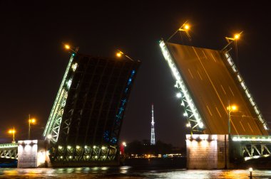 gece görüş palace Bridge (dvortsoviy en). St. petersburg, Rusya Federasyonu.