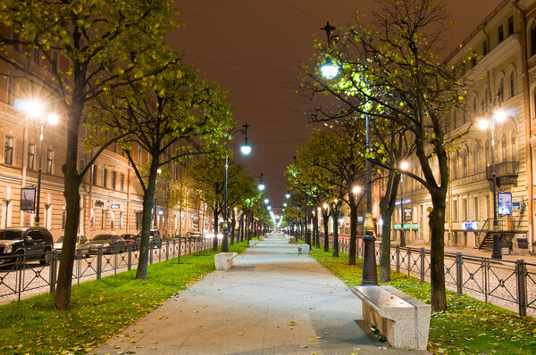 Night avenue. Saint Petersburg, Russia