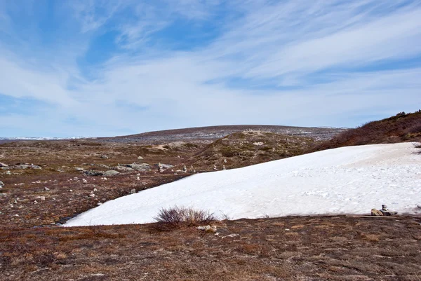 北の砂漠。北極ライン、ノルウェー. — ストック写真
