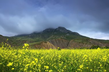 Yaz peyzaj kasvetli gök, dağ, ve kolza