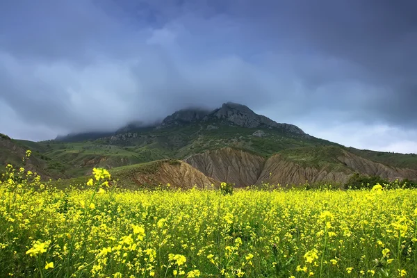 Paisaje de verano con un cielo sombrío, montaña y colza — Foto de Stock
