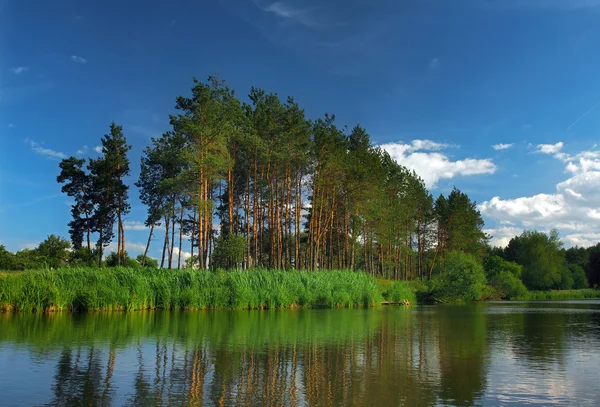 Paesaggio autunnale con un lago — Foto Stock