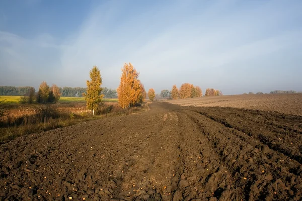 Un campo arato in autunno — Foto Stock