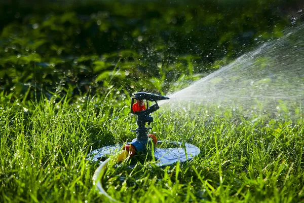 Watering the lawn — Stock Photo, Image