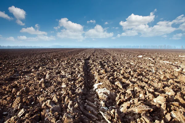 A plowed field on blue sky background — Stock Photo, Image