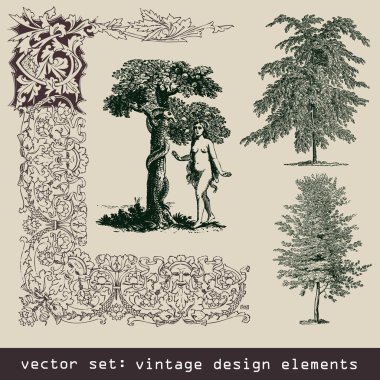 Set of design elements - tree, eva, frame, border clipart