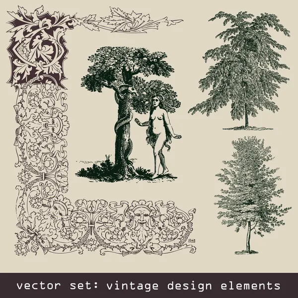 Set of design elements - tree, eva, frame, border — Stock Vector