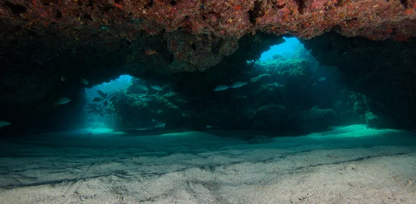 Cueva inferior de arena en el arrecife francés en Key Largo, Florida — Foto de Stock