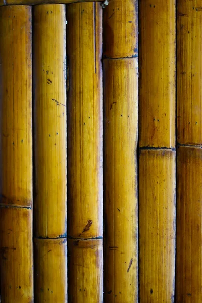 Bambu desenleri