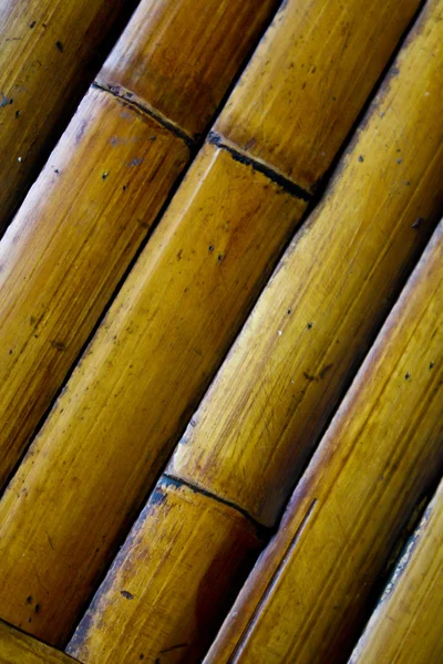 Modelli di bambù — Foto Stock