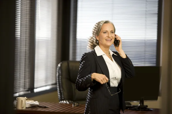 Business Woman In the Office Stock Photo