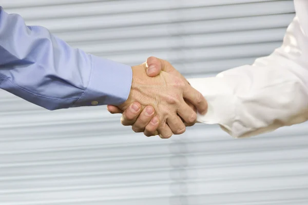 Business Handshake Royalty Free Stock Images
