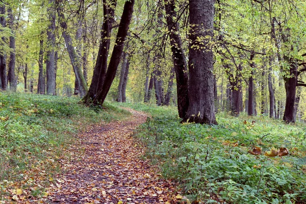 stock image Park road