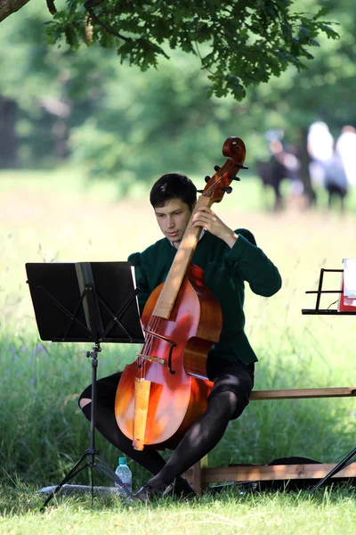 Renaissance musician with viola — Stock Photo, Image