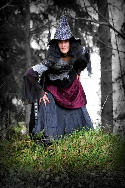 Лесная ведьма — стоковое фото