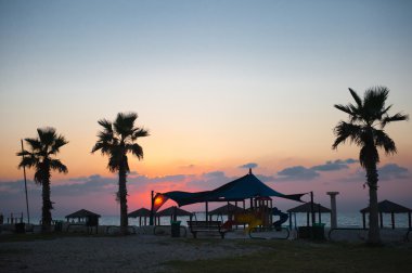 Three palm trees at sunset clipart