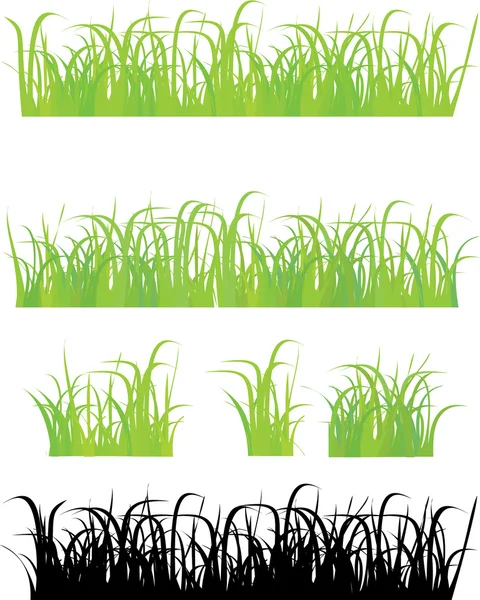 stock vector Grass 4 different types