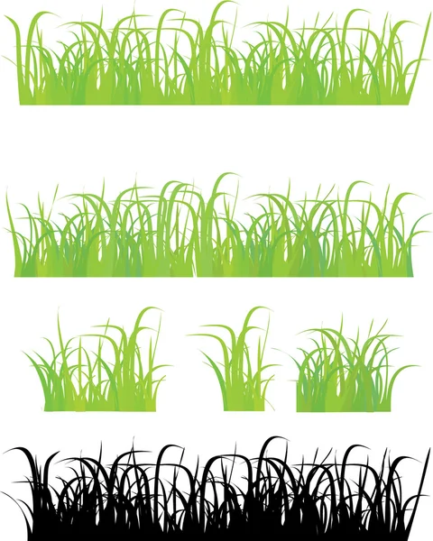 Grass 4 different types — Stock Vector