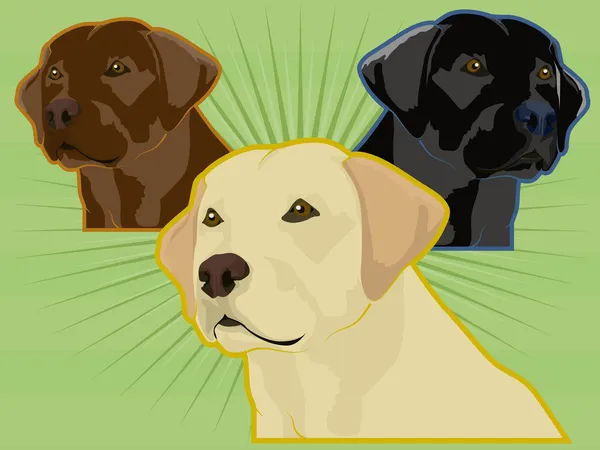 Labrador σκυλιά — Διανυσματικό Αρχείο
